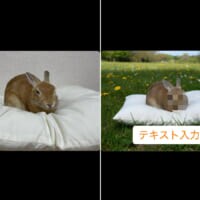 X、ついにアプリ内で「画像加工」が完結　モザイクもAI編集も対応、ただしステッカー機能はリストラ