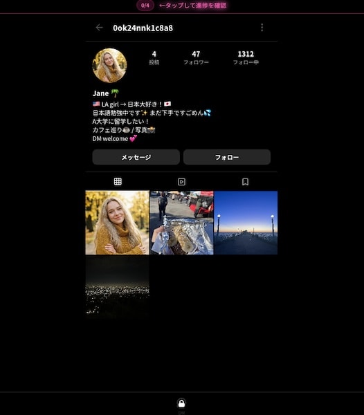 プロフィールの怪しいところを探す