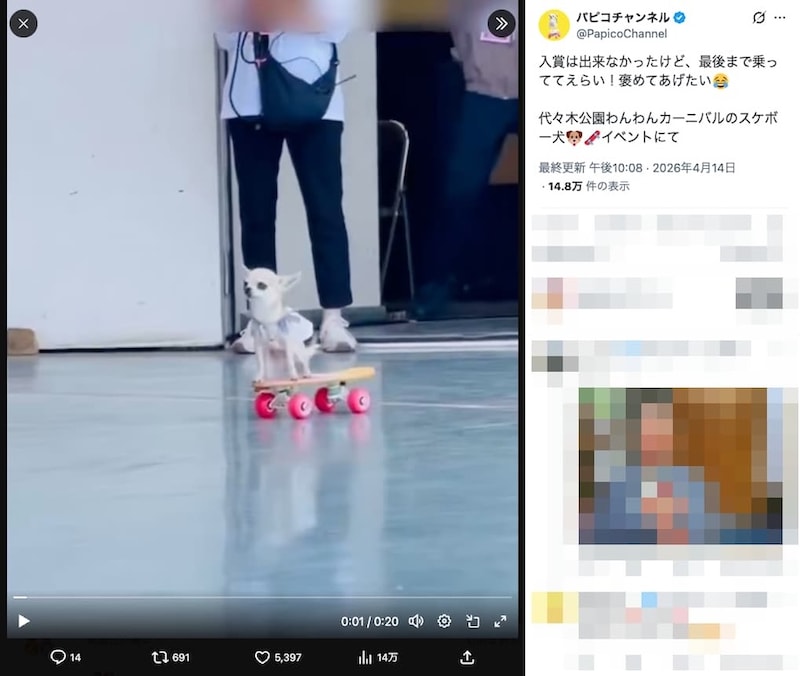 飼い主さんの投稿