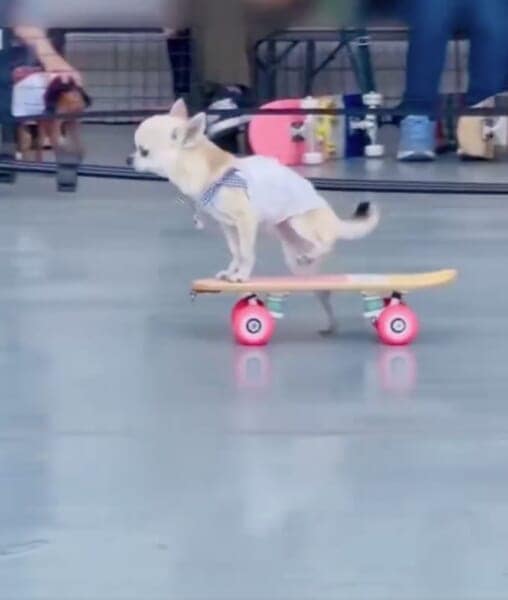 完走はしたものの、入賞はならず