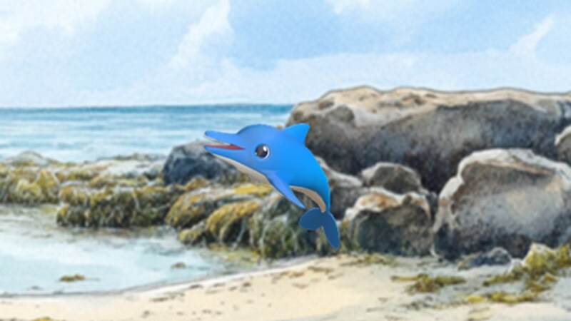 イルカのカイル