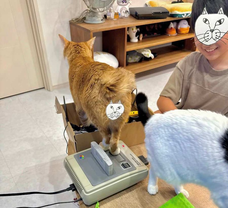 息子さんと友人は大笑い
