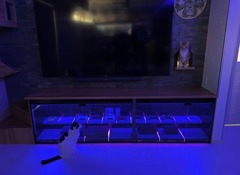 進化した猫対策ゲーム棚