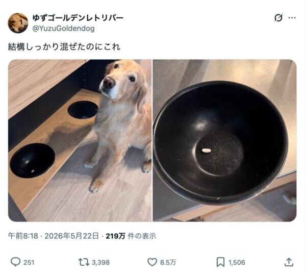 たった1つのお薬見抜く名探偵犬！ 飼い主さんをあえて泳がせる策士っぷりも？