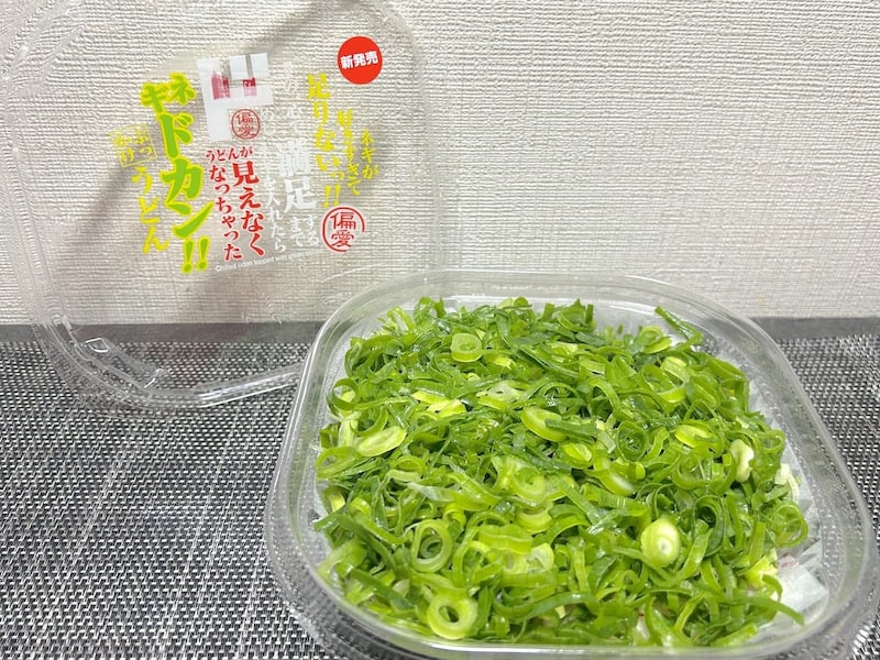 ネギが好きすぎて足りないっ！その一心で満足するまでネギを入れたらうどんが見えなくなっちゃった ネギドカン！！ぶっかけうどん
