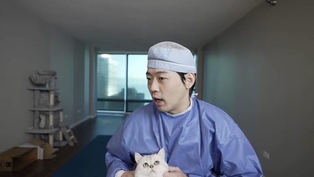 絶対に聞き逃さないあの名前、猫は聞いたよ目で丸わかり