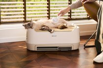 猫の寝るところが空気清浄器、一石二鳥にもほどがある