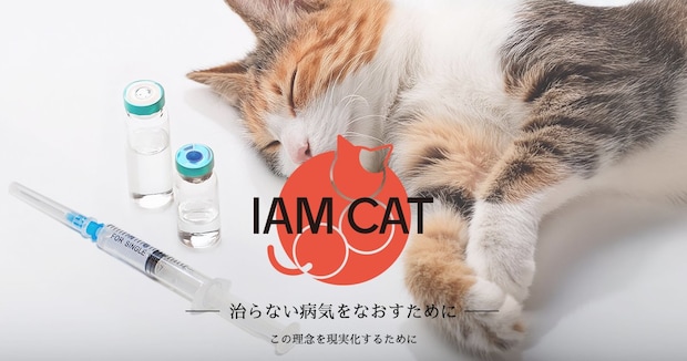 治験の次はネーミング。AIM猫薬の販売名の公募がスタート
