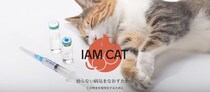 慢性腎臓病の猫を長生きさせる「AIM猫薬」開発のための、血液検査参加猫募集中