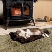薪ストーブの前で暖とる猫映像、栄養豊富で滋養満点