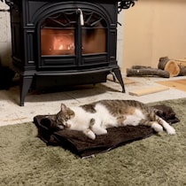 薪ストーブの前で暖とる猫映像、栄養豊富で滋養満点