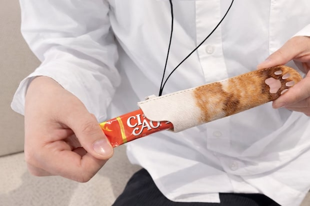 ちゅ〜る専用ケースにしか見えない、猫の手ペンケースじゃなくてペンシース