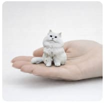 写真から作る手乗りの猫フィギュア、3月末までキャンペーン価格
