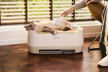 猫の寝るところが空気清浄器、一石二鳥にもほどがある