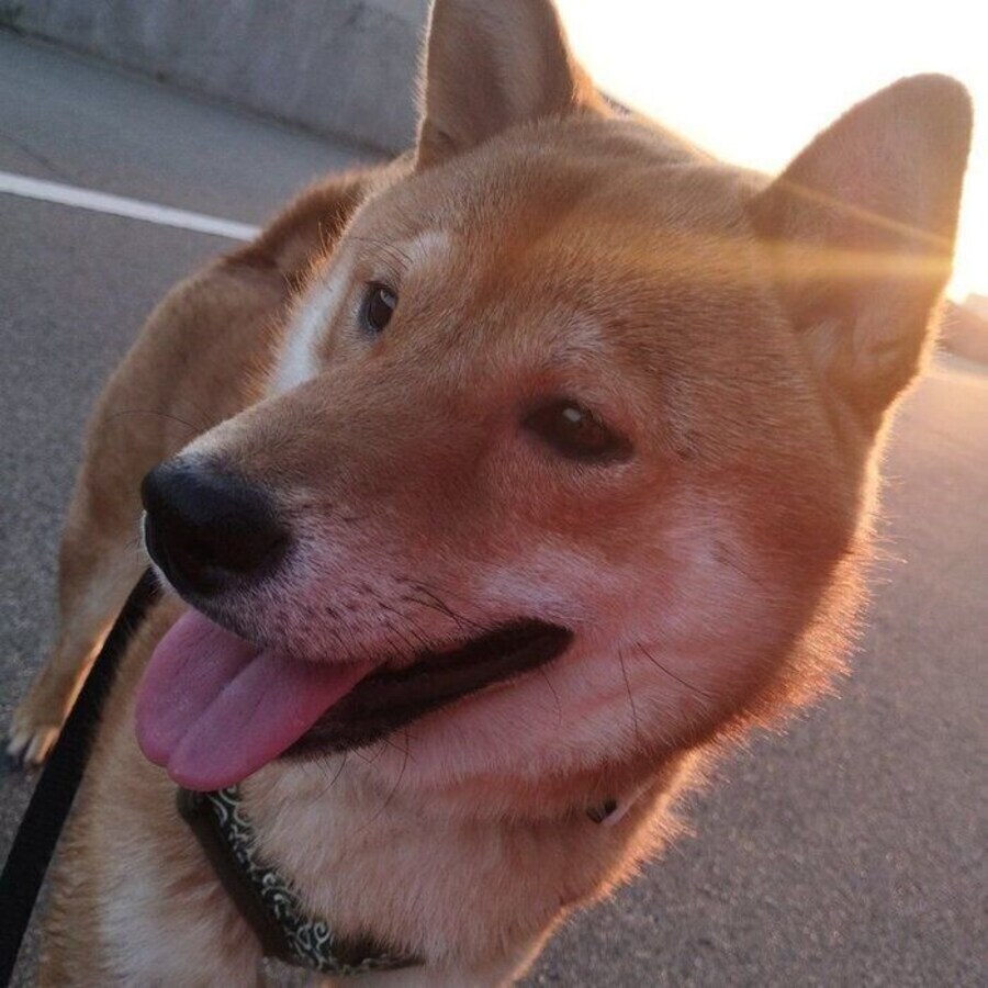 太陽の光を浴びる蒼くん