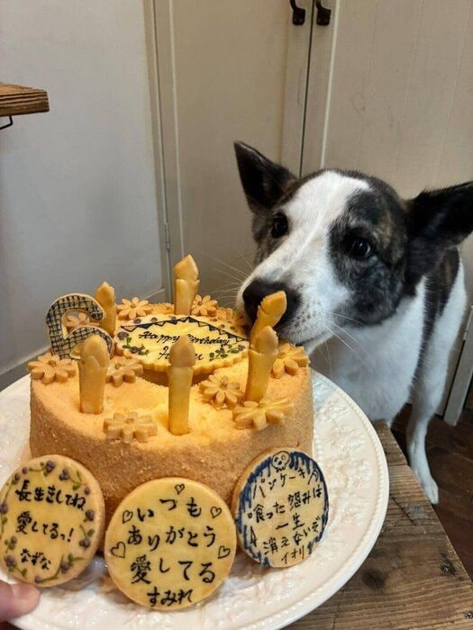 誕生日を祝ってもらうはるちゃん。