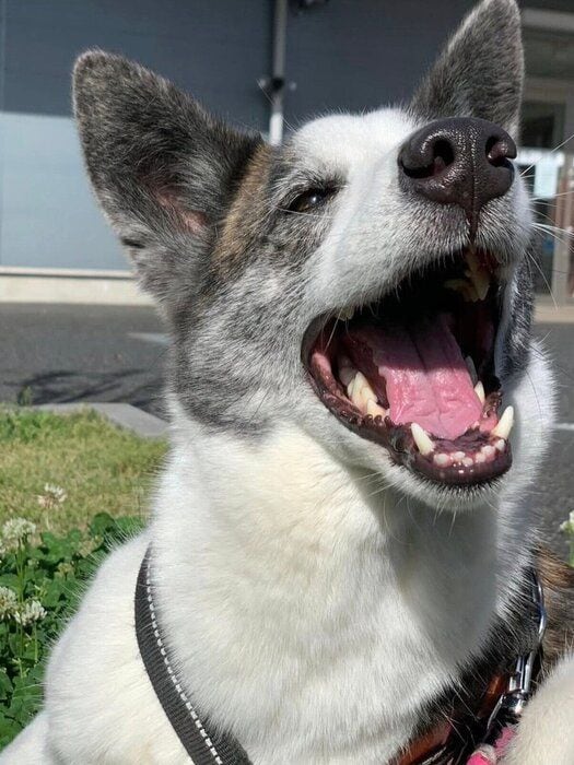 笑顔が可愛いはるちゃん。