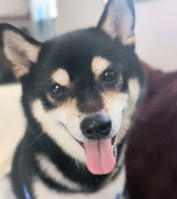 笑顔が可愛いゆずくん