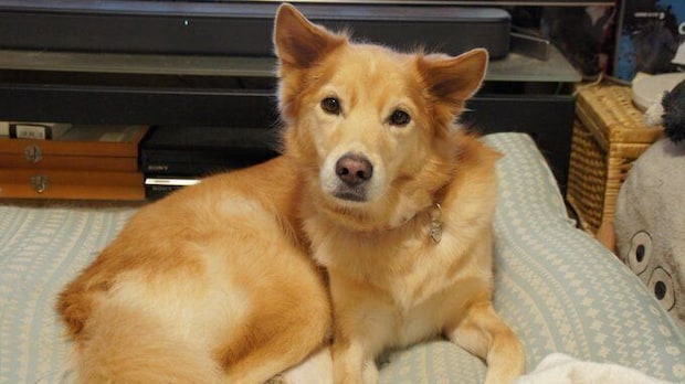 「わが家の幸せの結晶」として投稿された写真