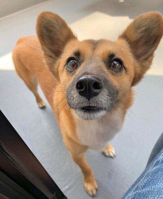 見つめるくまちゃん。