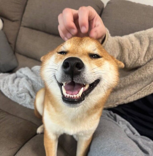 笑顔が可愛いこつぶちゃん