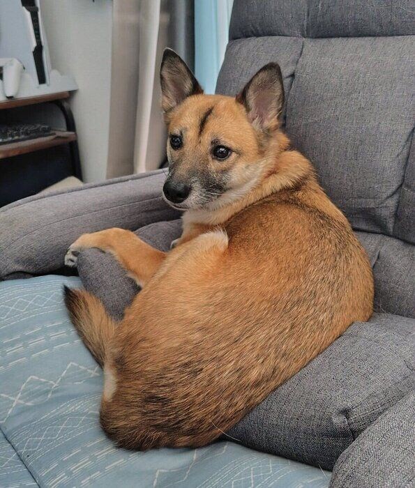 現在のルディちゃん