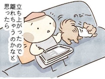 愛犬が寒くなると見せる“密着くっつき”｜連載「こぐま犬てんすけ」vol.298