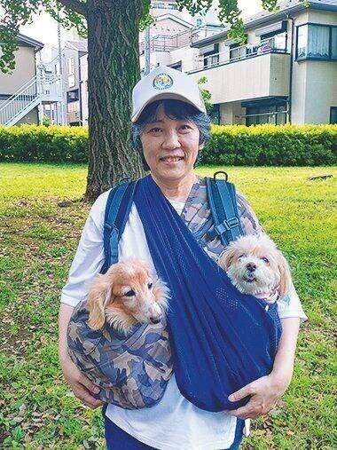 「ペット防災せたがやネットワーク」代表として、ペット防災のための活動に日々奔走。愛犬は右から、Cココアocoaちゃん(メス・14才/3.8㎏/ミックス/甘えん坊姫)、Cクッキーookieくん(オス・16才/4.6㎏/ミニチュア・ダックスフンド/甘えん坊王子)