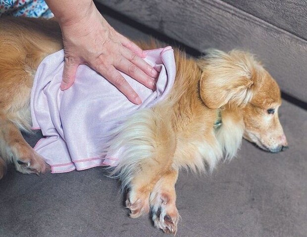 災害時は停電時の暑さでぐったりしているときの応急処置として