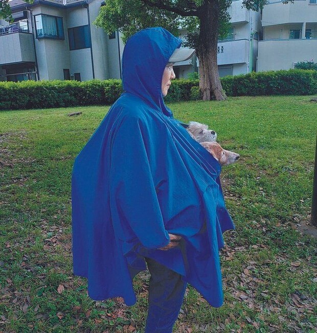 犬や大きな荷物も濡らさない!