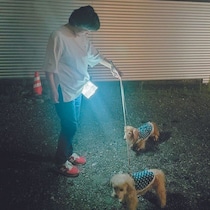 防災士が伝える「ふだん使いできる犬用防災アイテム」はコレ！