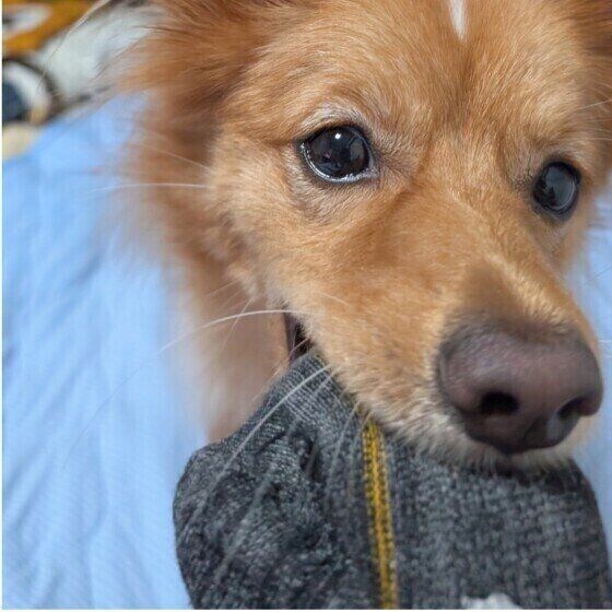 MIXの小夏ちゃん