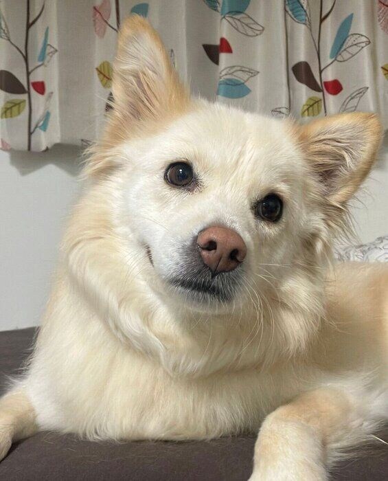 穏やかな表情のゆづちゃん。