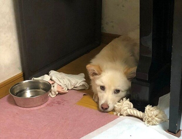 遠くから見つめるゆづちゃん。