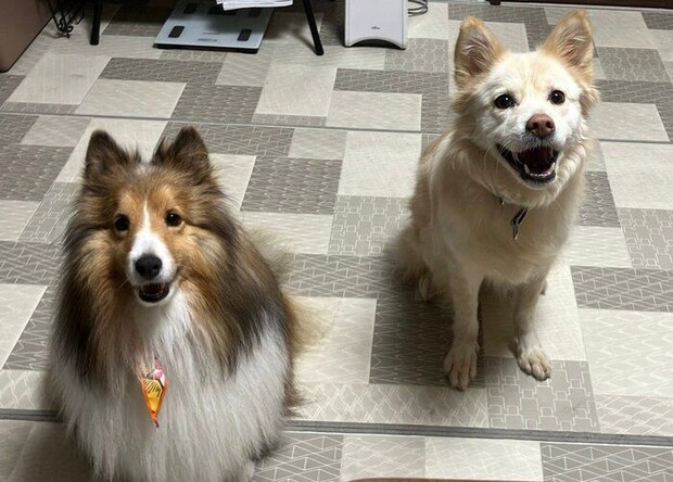 先住犬・スピカちゃん(取材時7才)との笑顔のツーショット。