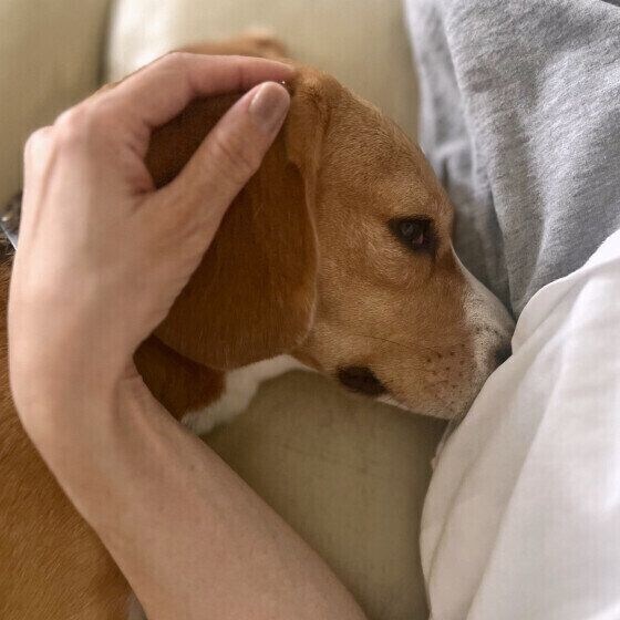 飼い主さんと一緒にお昼寝中