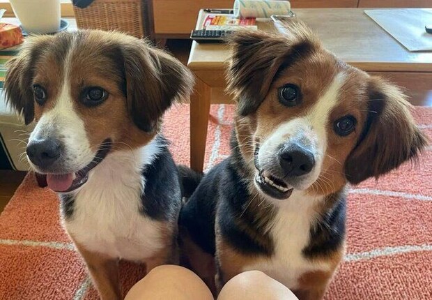 ニコニコするかおるくん、りつくん