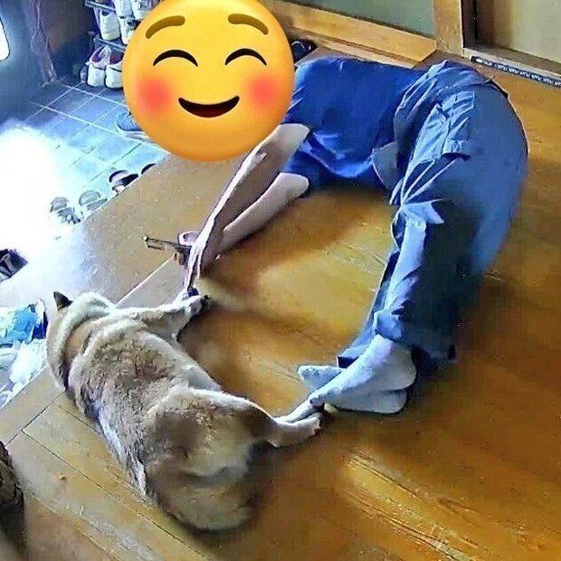 パパと一緒にハートの形をつくるりんちゃん