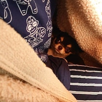 やんちゃで元気な生後3カ月のチワワ子犬→約5年後、アピール上手で人懐っこい性格に成長！飼い主さんの「最優先事項」の存在に