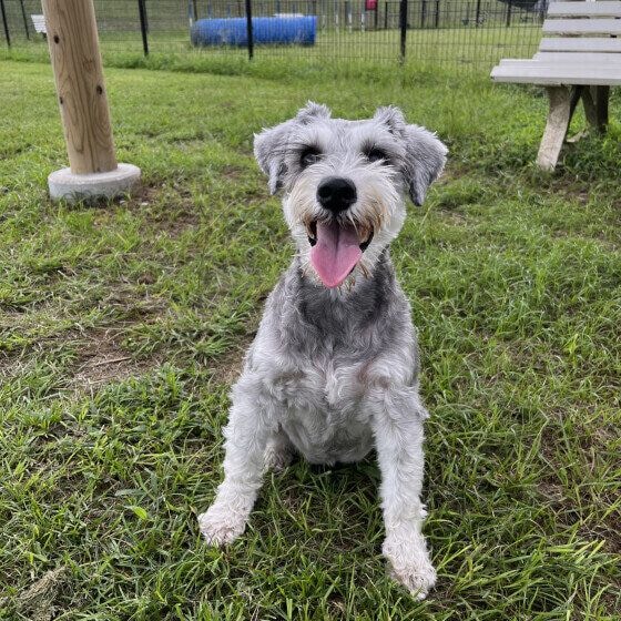 ニコニコ笑顔で楽しそう