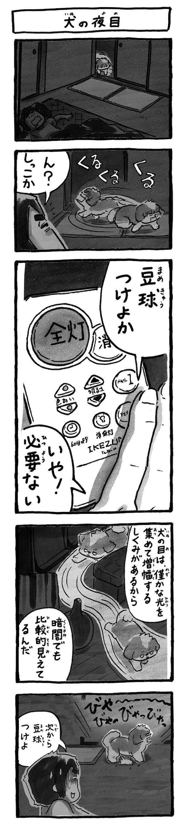 シーズー犬マンガてんぽshihtzu