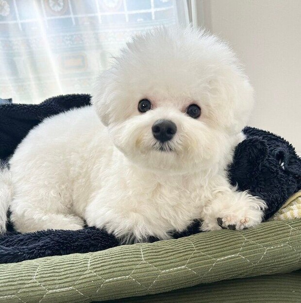 生後8カ月になったぴぷすくん