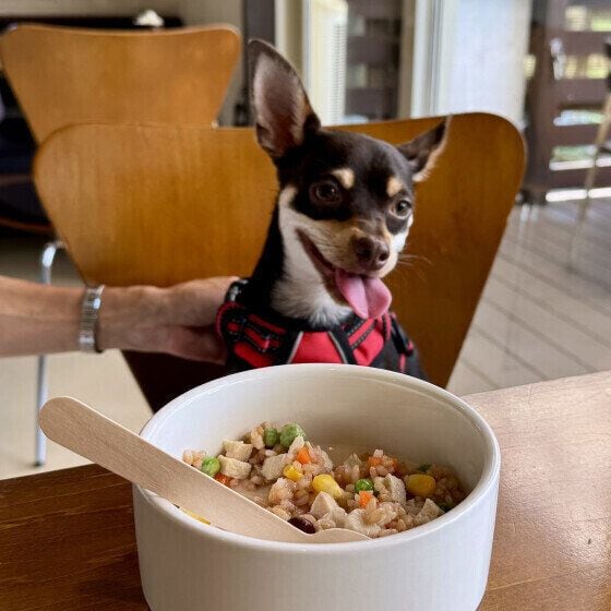 ドッグカフェに来たらんちゃん