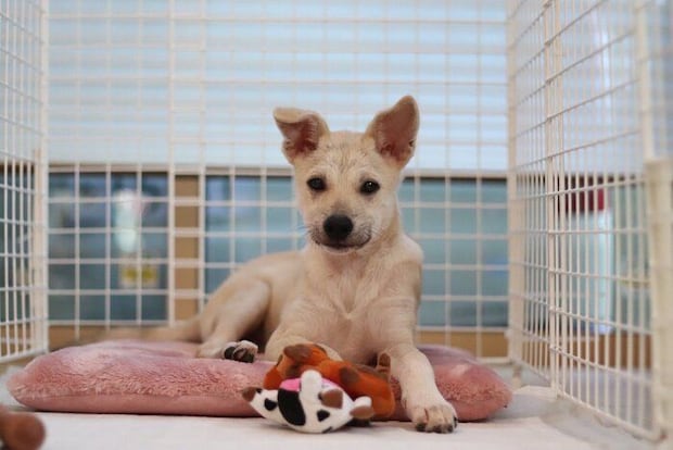 お迎え時の様子　かわいすぎる