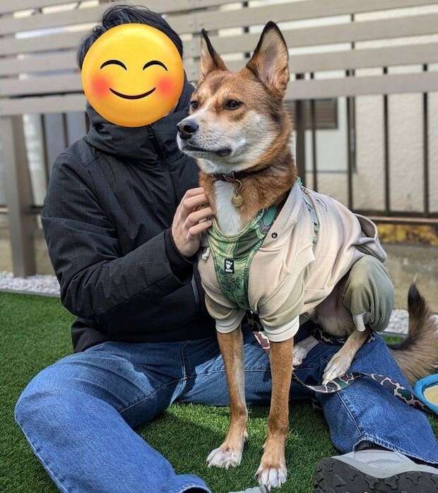 膝に乗って得意げな顔をするカンタくん