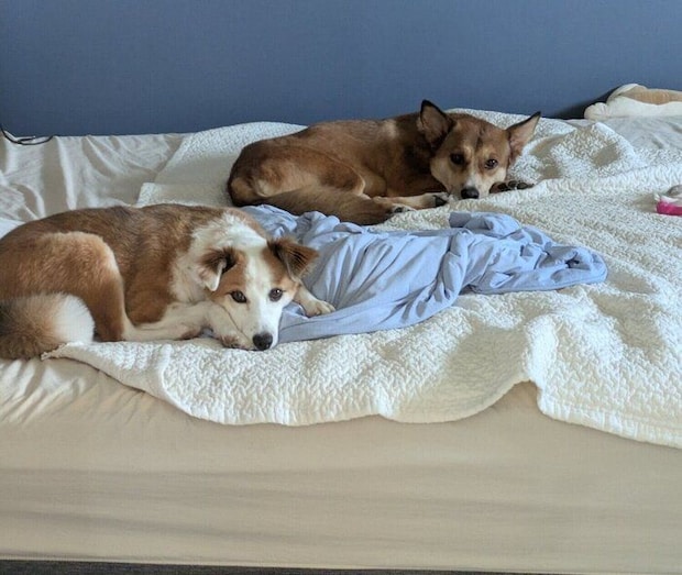 まったりするカンタくん、ふう太くん