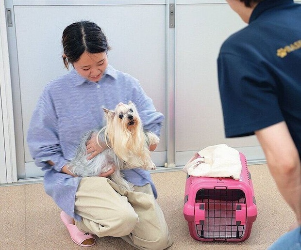 預け先に行く犬