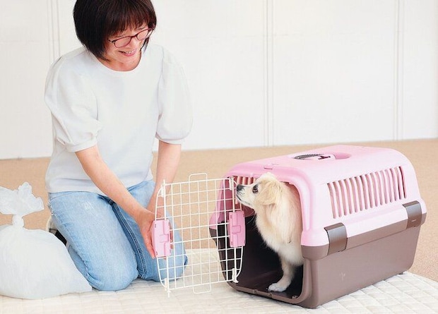 クレートに入る犬