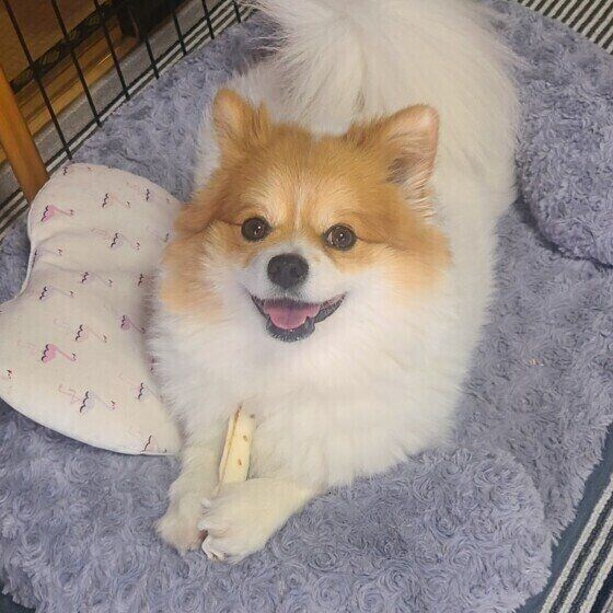 ガムをもらって嬉しそうなららちゃん