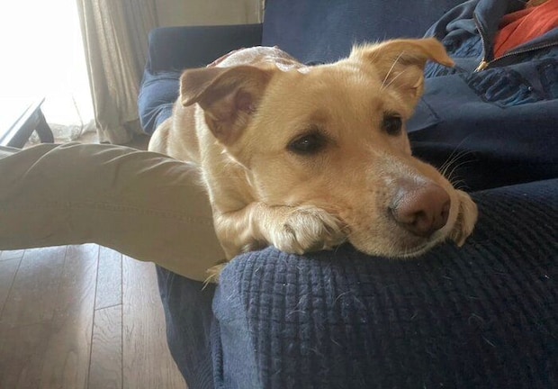 まったりするなつ子ちゃん